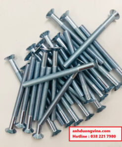 Bu-long-luc-giac-chim-dau-con-M10x120mm-ma-kem