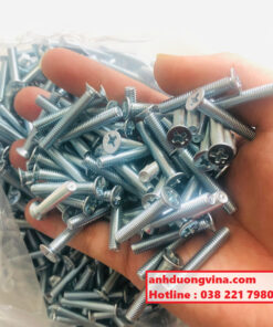 Bu lông pake đầu bằng M5x30