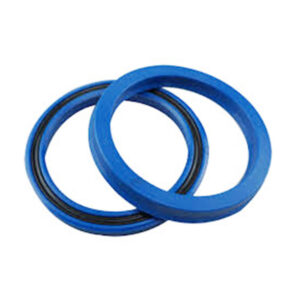 Phốt Piston - Piston Seal