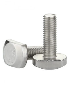 Bulong Chữ T Inox 304 M5x12
