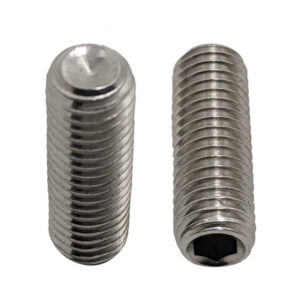 Vít Trí Đuôi Lõm