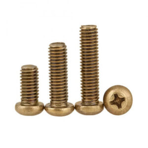 Bulong Pake Đầu Tròn Đồng M6x30
