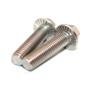 Bulong Đầu Bông Inox