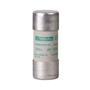 Cầu chì sứ Schneider 32A 22x58 mm DF2FA32 DF2FN32