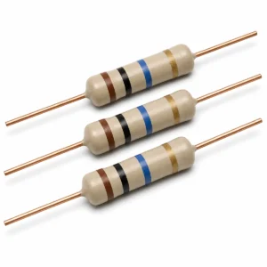 Điện trở 10MΩ 2W chân đồng dạng cắm